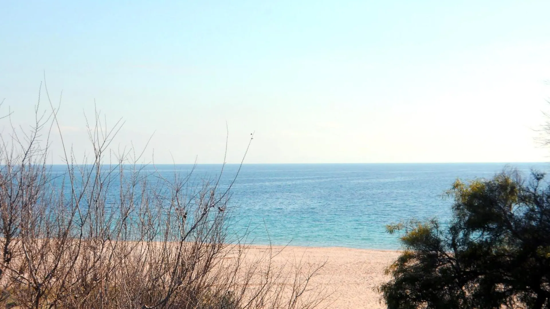 Villa Sole E Mare Su Forti